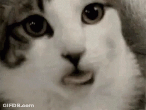 Young Boy With Eyes Closed Looking Down GIF