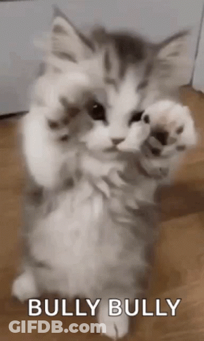 Young Girl Saying You're A Bully GIF