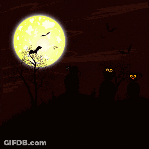 Young Man Eyes Closed Rising Sun On Face GIF