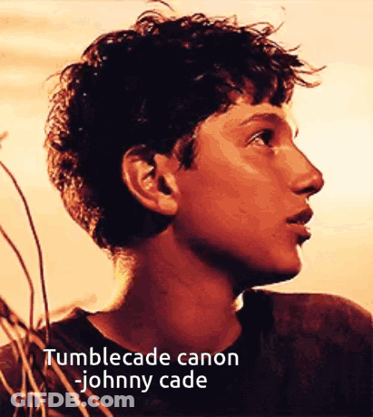 Young Man Face With Tumblecade Canon Johnny Cade GIF