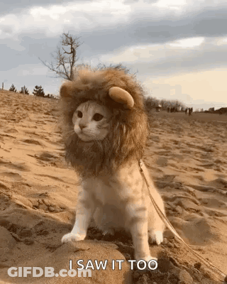 Young Man He Tryna Ignore It GIF
