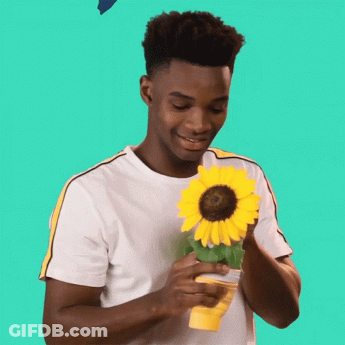 Young Man Holding Sunflower GIF