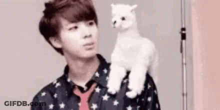 Young Man Holding White Llama GIF