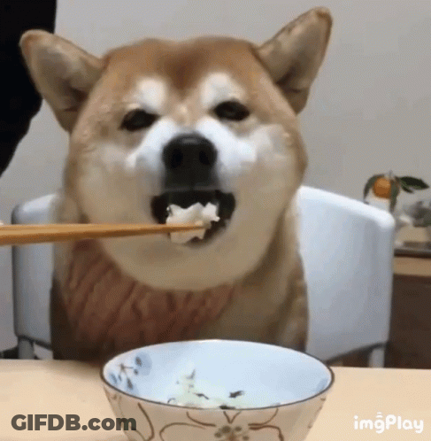 Young Man In Black Hat Eating On Blue Couch GIF