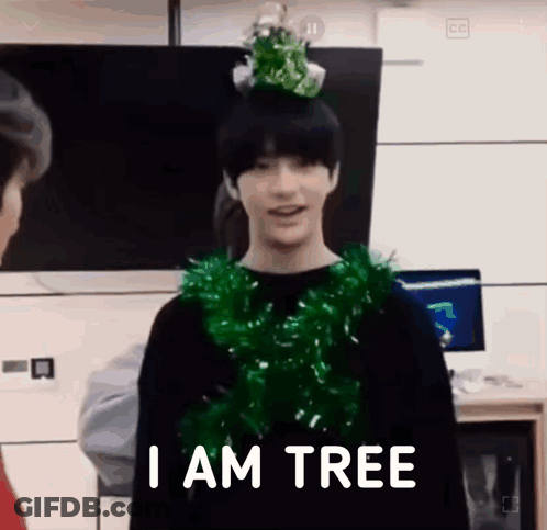 Young Man In Christmas Tree Hat And Tinsel In Front Of TV And Computer GIF