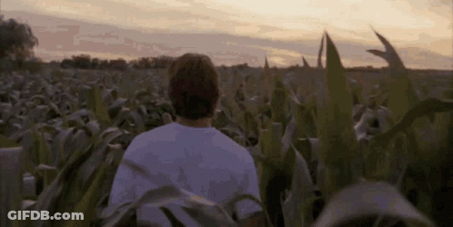 Young Man In Glasses And White Shirt Looking At Camera GIF