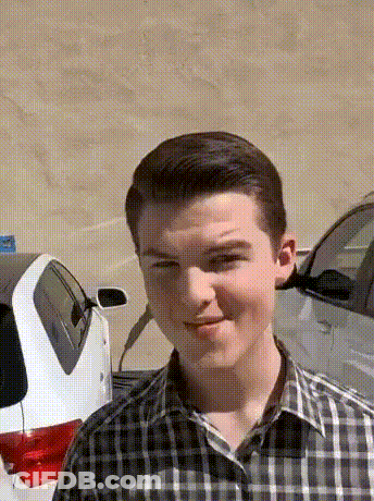 Young Man In Plaid Shirt In Front Of White Car GIF