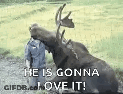 Young Man In Red Hoodie Says Let Me Know GIF