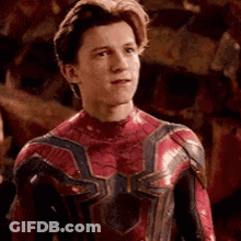 Young Man In Spiderman Suit Looking At Camera GIF