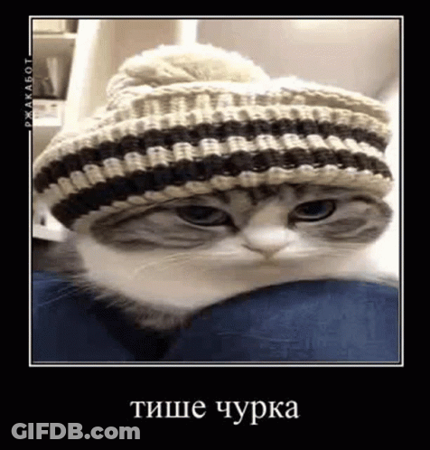 Young Man In White Hoodie At Window GIF