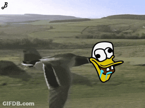 Young Man In White Shirt Looking Up GIF
