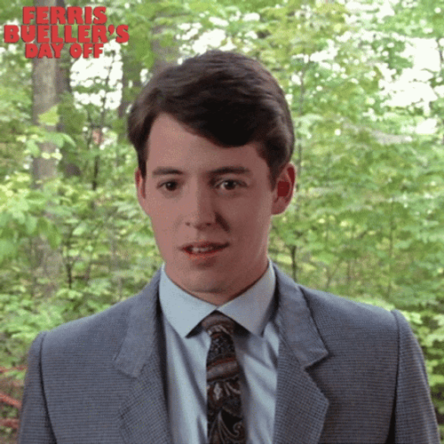 Young Matthew Broderick Ferris Bueller GIF