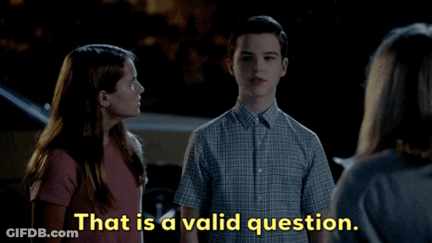 Young Sheldon That Is Valid Question GIF