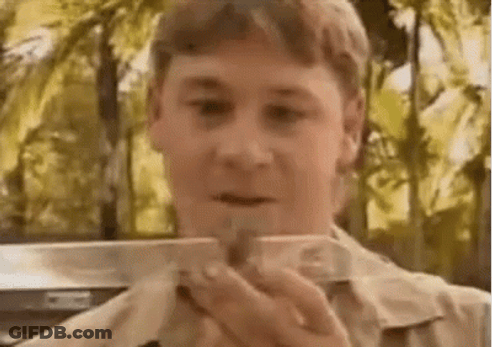 Young Steve Irwin Holding Tarantula GIF