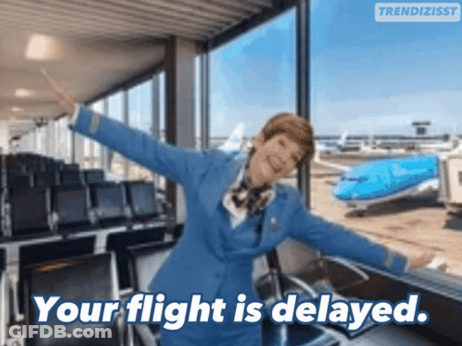 Your Flight Is Delay FLight Attendant GIF