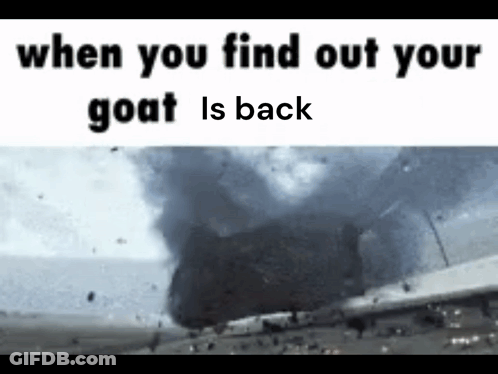 Your Goat Is Back Tornado Meme GIF