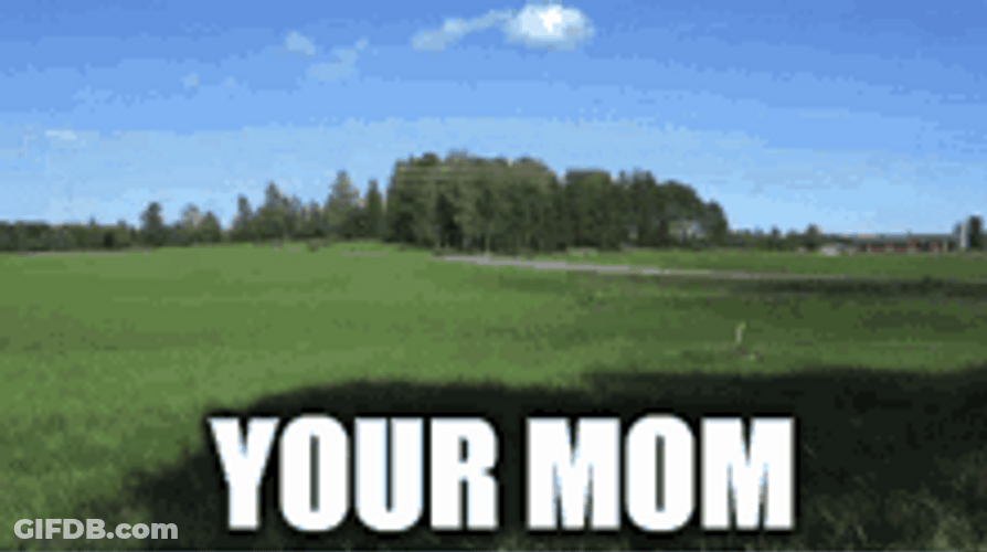 Your Mom Fast Car Driving Meme GIF