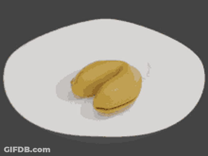 Your Mom Fortune Cookie Joke Meme GIF