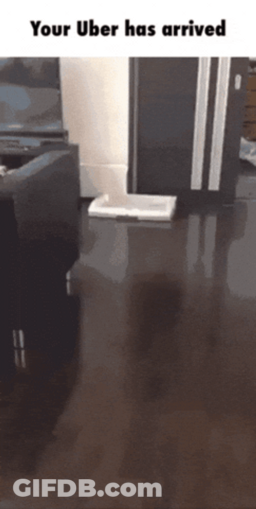 Your Uber Has Arrived GIF
