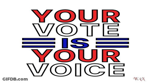 Your Vote Is Your Voice Poster GIF