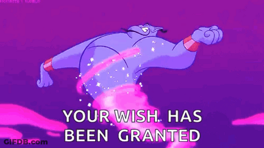 Your Wish Is My Command Aladdin GIF