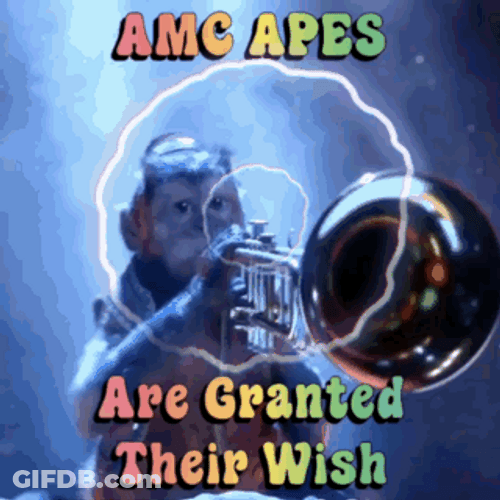 Your Wish Is My Command Amc Aped GIF