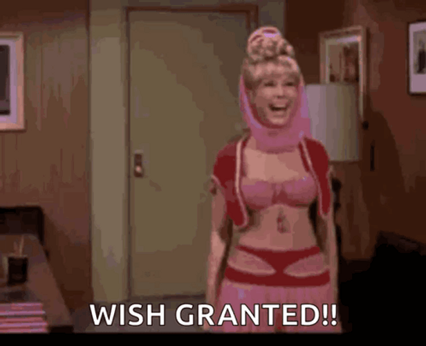 Your Wish Is My Command Barbara Eden GIF