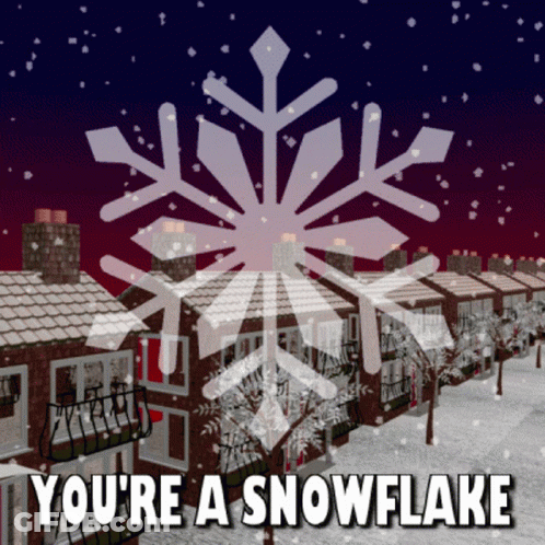Youre A Snowflake Liberal Snowflake GIF