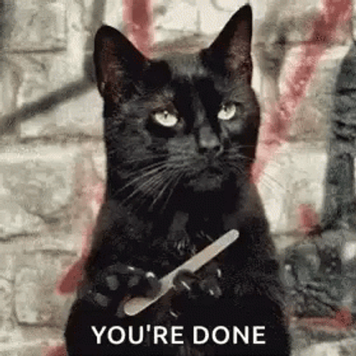 Youre Done Saucy Black Cat Nail File GIF