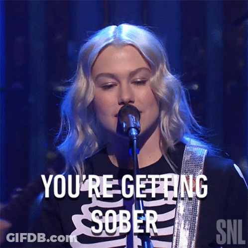 Youre Getting Sober Phoebe Bridgers GIF