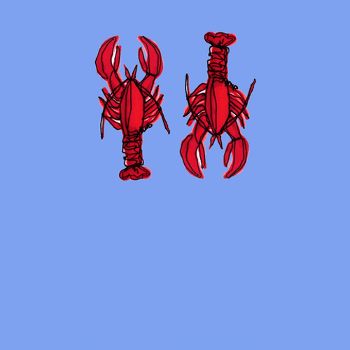 Youre My Lobster Sweet Love GIF
