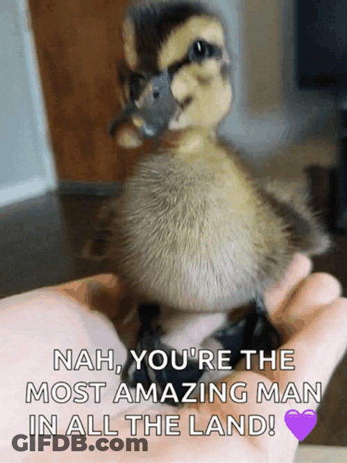 Youre The Amazing Man GIF