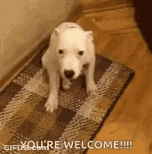 Youre Welcome Funny Dog Grinning GIF