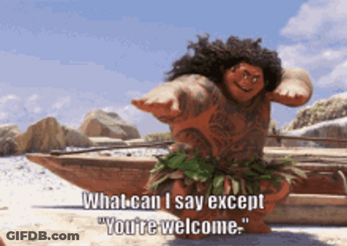 Youre Welcome What Can I Say Maui Song GIF
