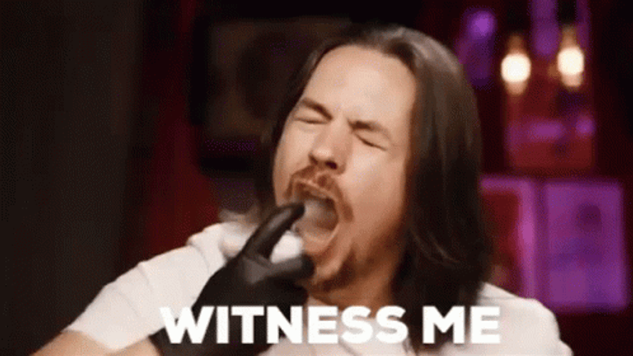 Youtuber Arin Hanson Game Grumps Witness Me GIF