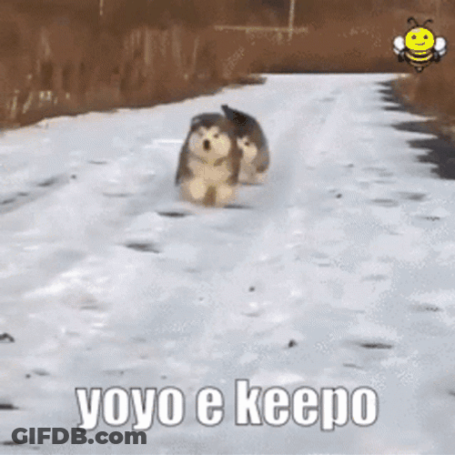 Yoyo GIF