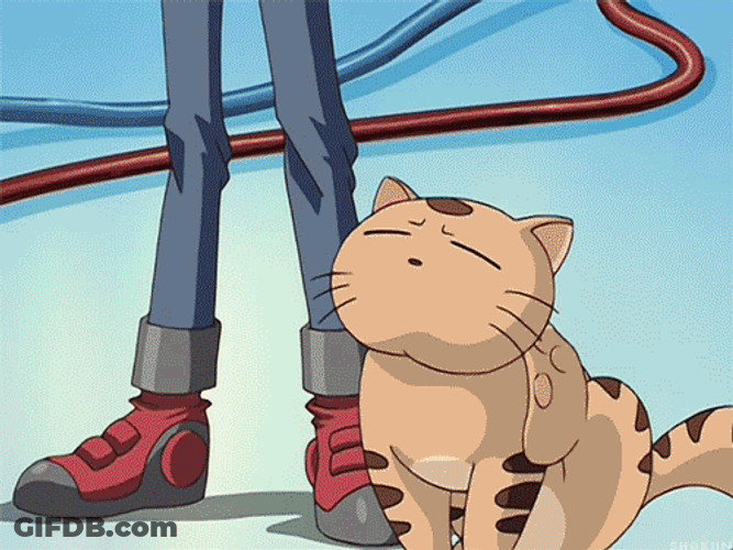 Yugioh Jaden I Love You GIF