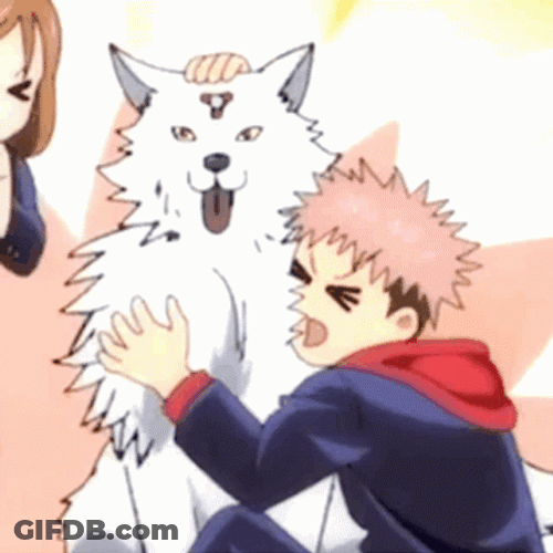Yuji Playing With His Dog GIF