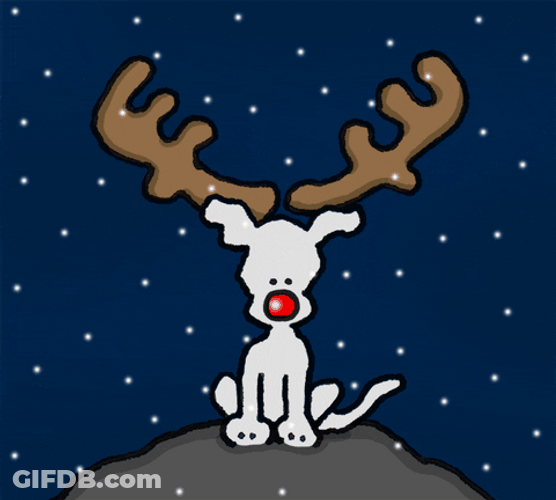 Yukon Cornelius Friend Rudolph Alone In Snow GIF