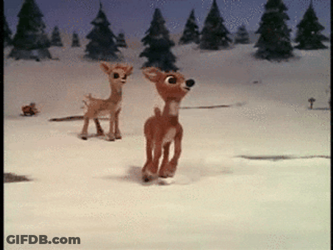 Yukon Cornelius Friends Rudolph GIF
