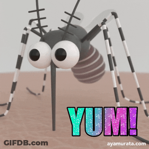 Yum Mosquito GIF
