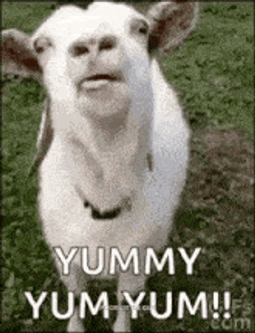 Yum Yummy GIF