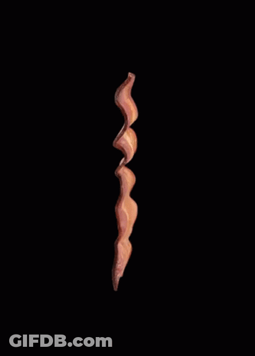 Yummy Bacon Rolling GIF