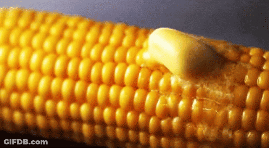 Yummy Buttered Corn In A Cob GIF