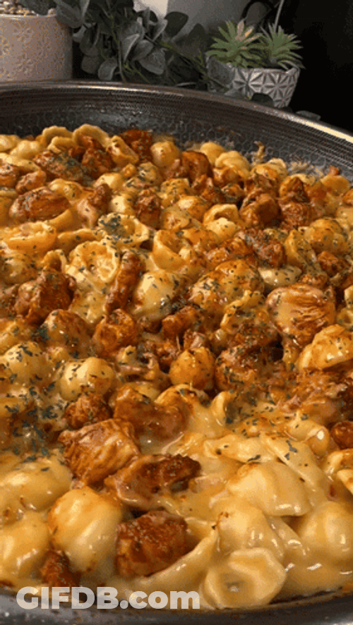 Yummy Mac N Cheese GIF