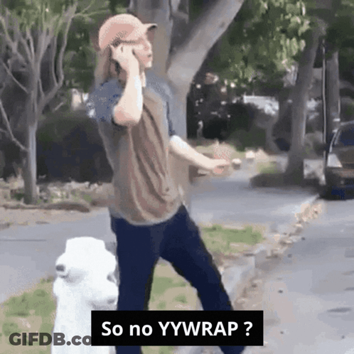 Yywrap Bison GIF