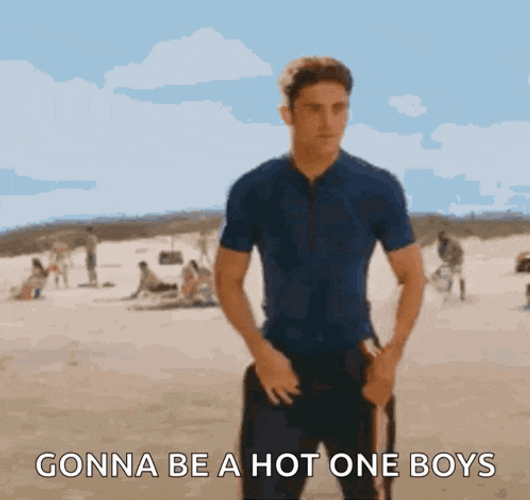 Zac Efron Flag GIF
