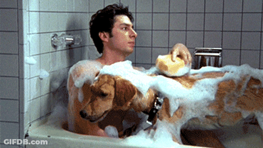 Zach Braff With Pet Dog Bubble Bath GIF