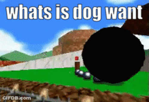 Zach Browsing 4Chan Be Like GIF