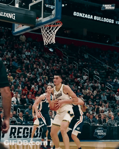 Zach Edey Amazing Slam Dunk GIF